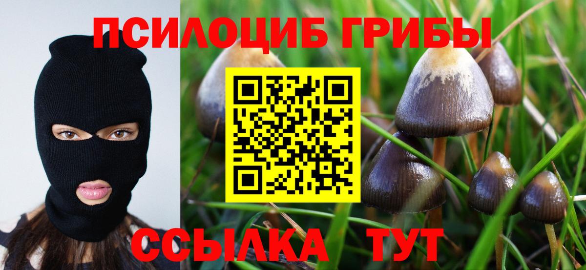 Галлюциногенные грибы GOLDEN TEACHER  Вход с VPN  Елец 