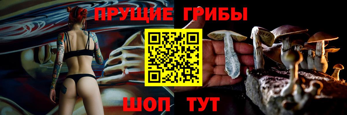 Галлюциногенные грибы Cubensis Елец